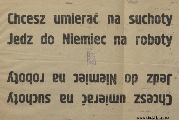 Обмануть судьбу. Можно ли было избежать принудительной депортации в Третий рейх? 