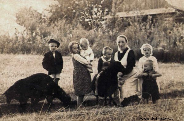 Héroes polacos salvando judíos. Tres pruebas conmovedoras del heroísmo polaco ante el Holocausto 