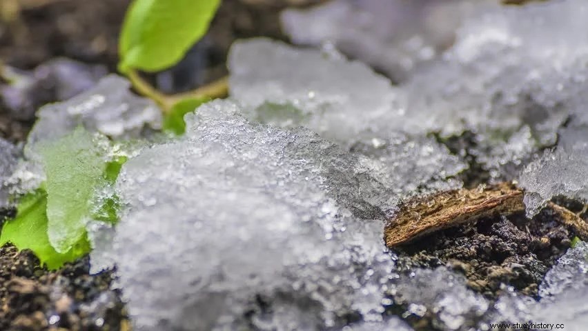 古代の歴史:先史時代のベゴ山の魔法の芸術と驚異 