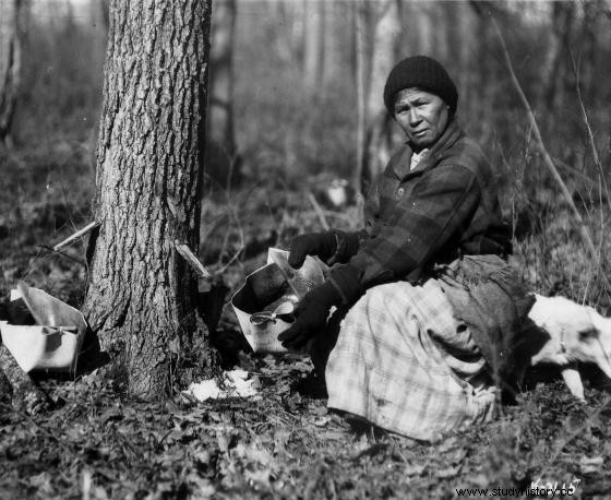 Historia y hechos sobre la industria del jarabe de arce en Canadá 