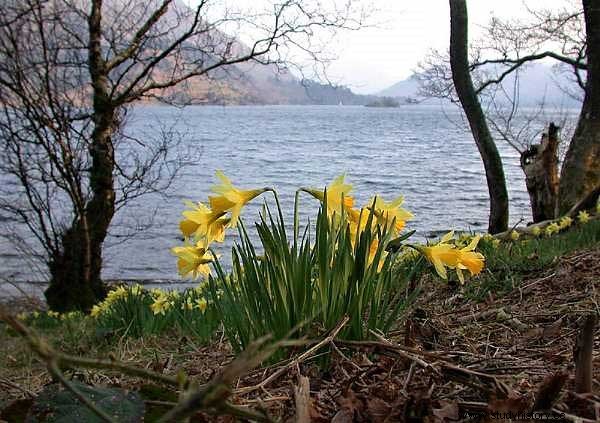 영국의 레이크 디스트릭트(Lake District)와 그 문학 및 시의 역사 