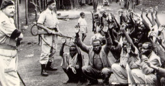 Medio sol amarillo:una perspectiva igbo sobre la guerra civil nigeriana 