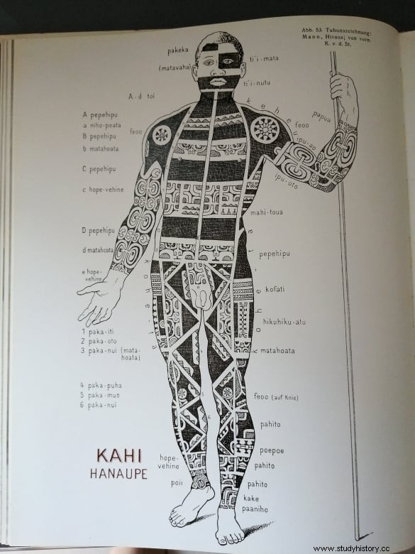 タヒチとマオリのタトゥーの背後にある謎を発見する 