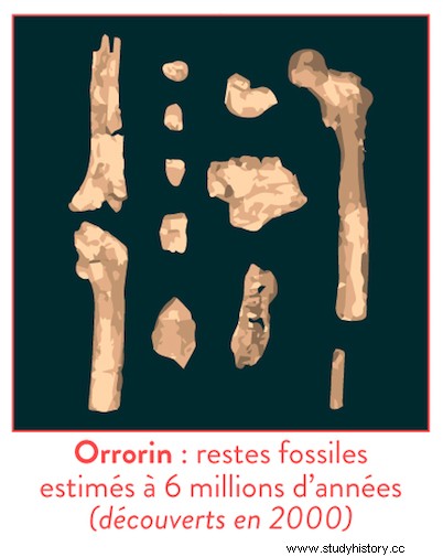 Descubrimiento de Orrorin Tugenensis 