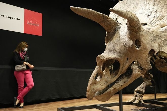 Big John:El triceratops más grande del mundo se vendió por 6,6 millones de euros 