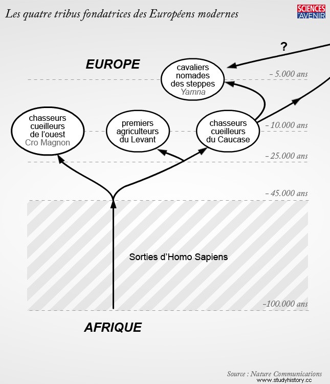 Una cuarta tribu ancestral en los orígenes de los europeos modernos 