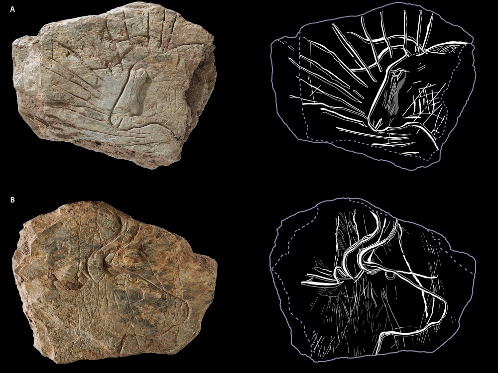 Бретань:открытие исключительных гравированных табличек возрастом 14 500 лет. 