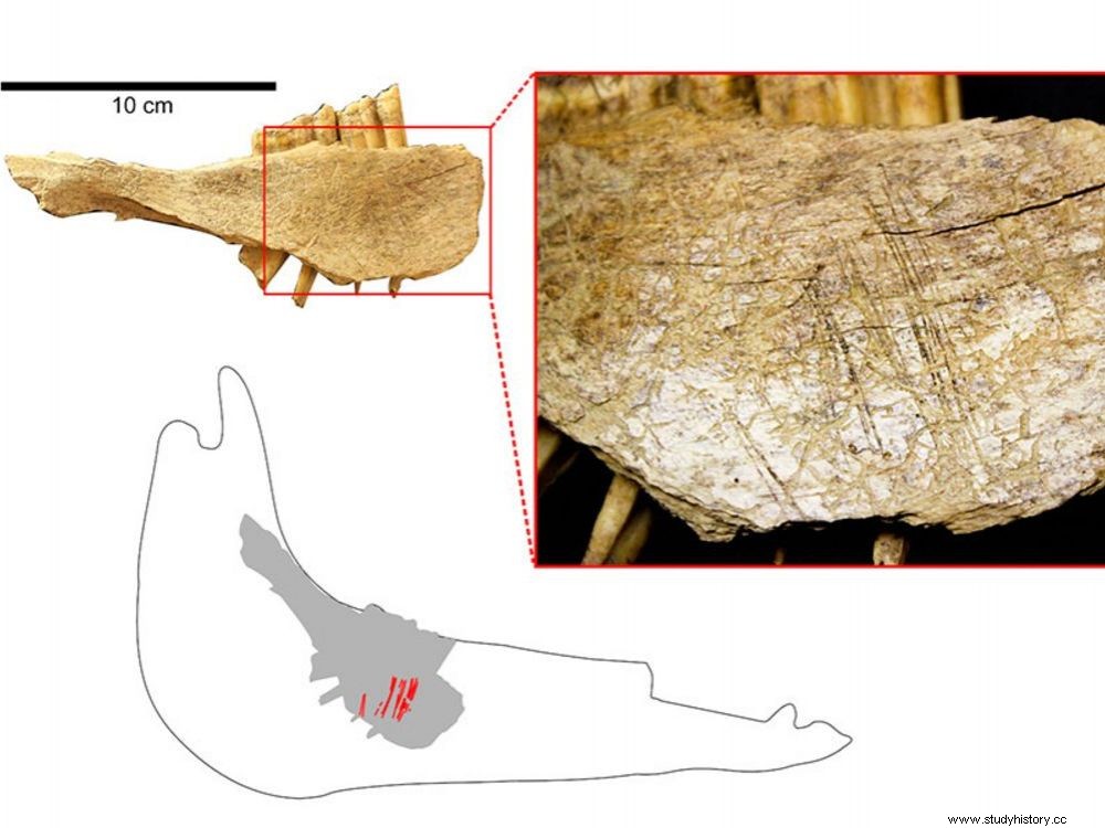 Hombres presentes en América del Norte hace 24.000 años 