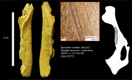 Hombres presentes en América del Norte hace 24.000 años 