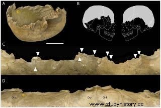 刻まれた人骨は15,000年前の儀式的人食いを証明する 