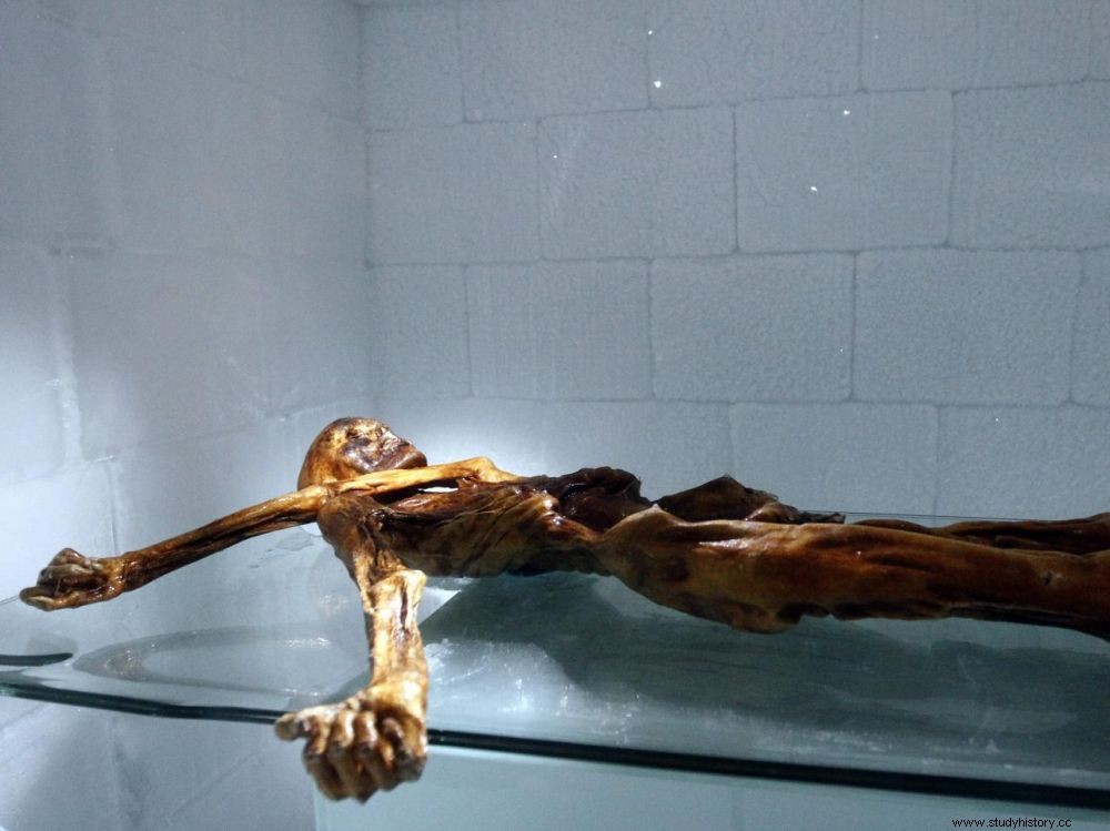 Ötzi:영화로 각색된 신비한 아이스맨의 이야기 