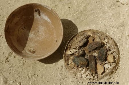 Descubren en Egipto un excepcional jardín funerario de 4.000 años de antigüedad 