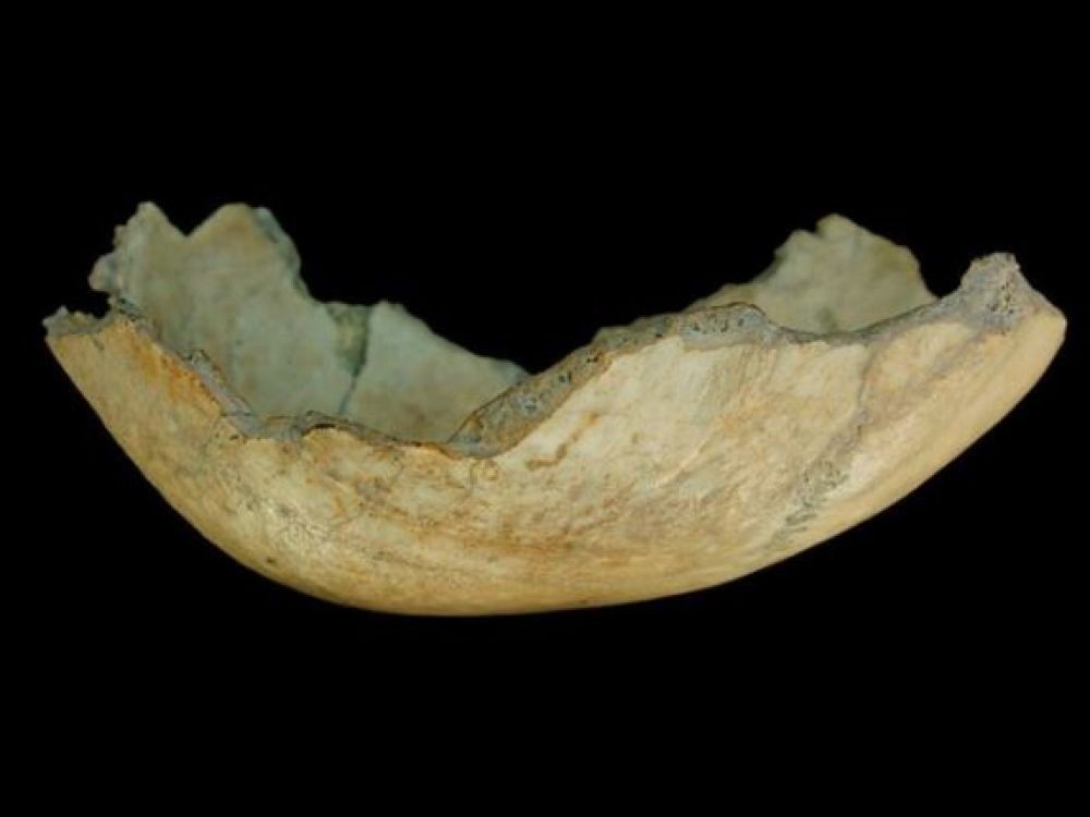 En España, hace 7.000 años, agricultores caníbales 