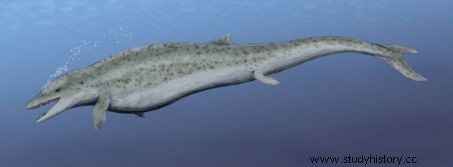 この化石クジラは別の近縁種の子を餌としていた 