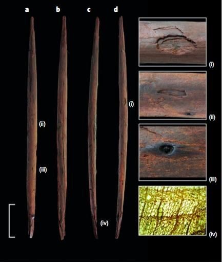 Con 300.000 años, el arma arrojadiza más antigua reaparece del pasado 