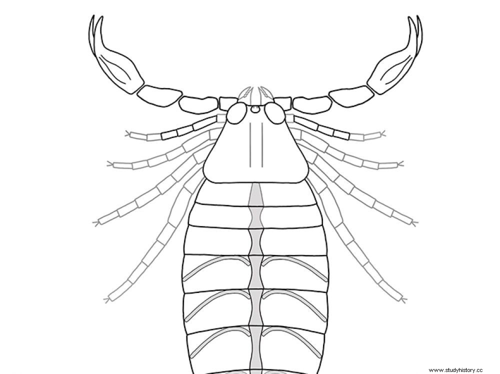 Este escorpión fósil es el más antiguo jamás descubierto 