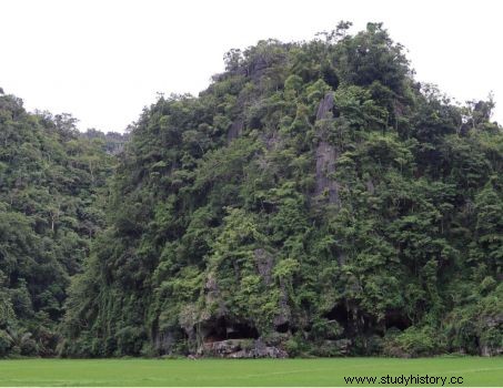 インドネシアで発見された最古の先史時代の洞窟壁画 