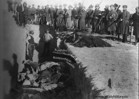 LIBRO:Wounded Knee, la investigación sin precedentes 