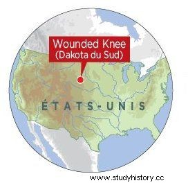 LIBRO:Wounded Knee, la investigación sin precedentes 