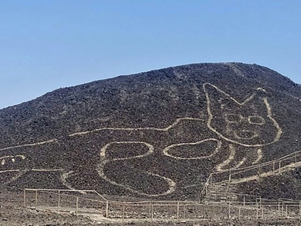 ペルー：ナスカ砂漠で発見された猫の地上絵 