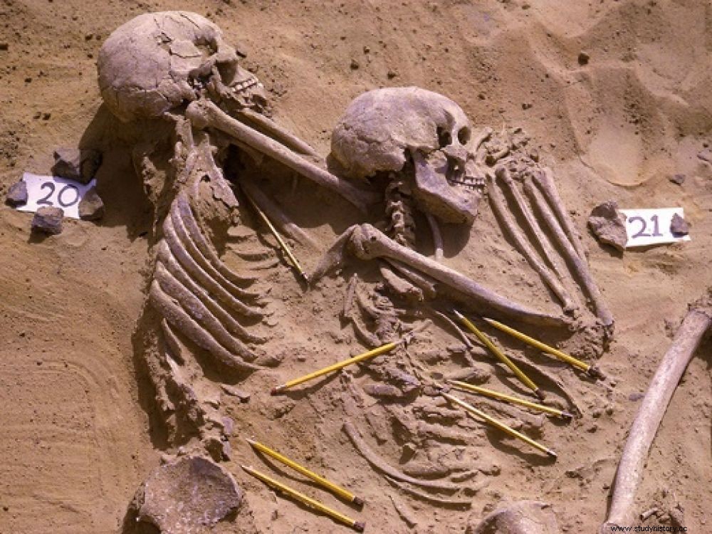 13 000 лет назад в Египте произошли эпизоды насилия, усугубленные изменением климата. 