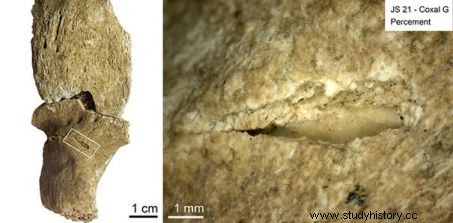 13 000 лет назад в Египте произошли эпизоды насилия, усугубленные изменением климата. 