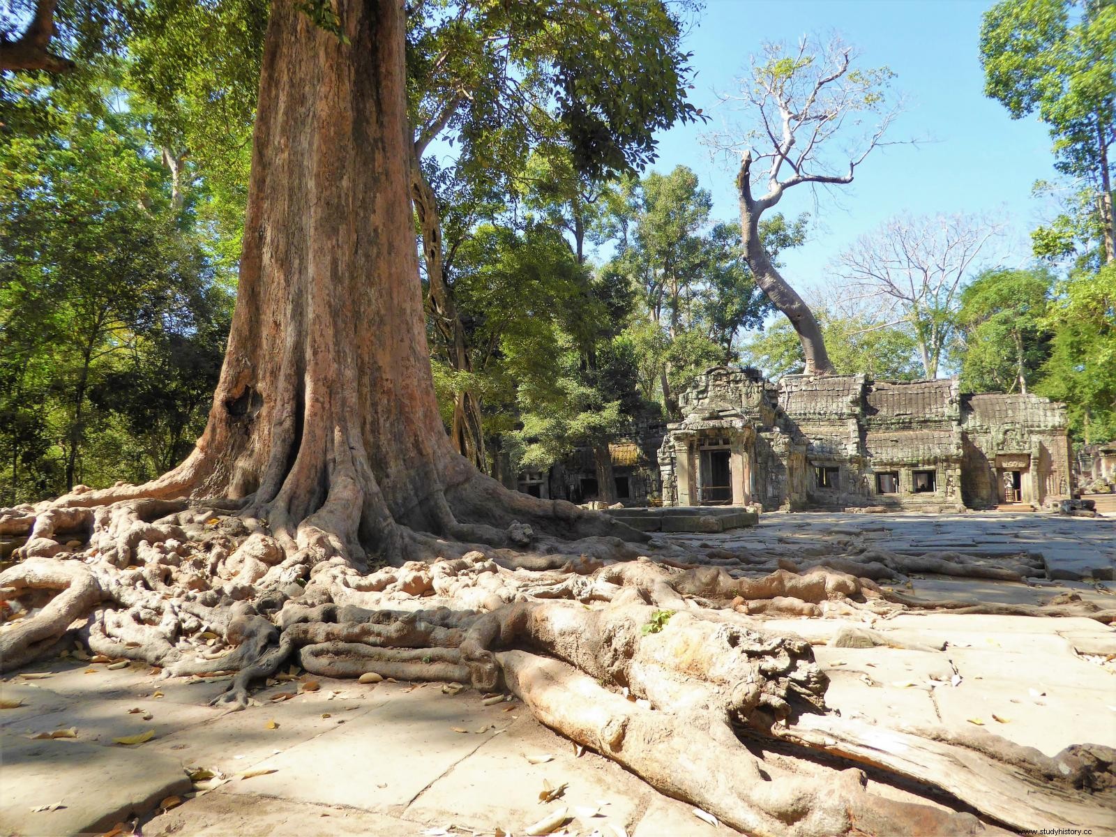 アンコール：新型コロナウイルス感染症の時代の世界遺産 