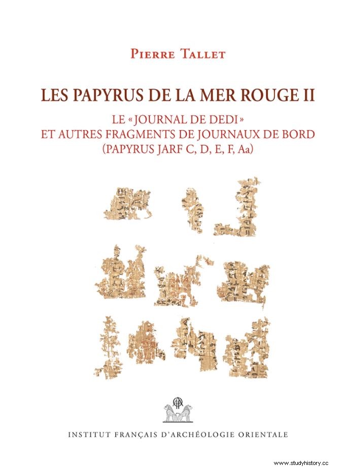 本。デディの日記とその他の紅海パピルス 