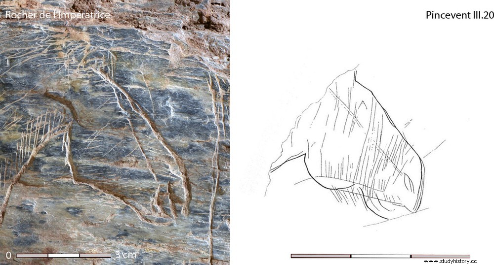 Bretaña:el arte prehistórico llega a Plougastel 