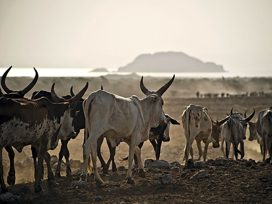 Damaralandia | región histórica, Namibia 