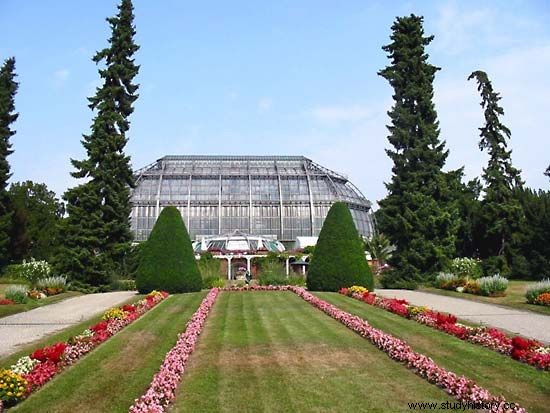 ベルリン - ダーレム植物園および植物博物館 |博物館、ベルリン、ドイツ 