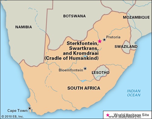 ステルクフォンテン |人類学および考古学的な遺跡、南アフリカ 