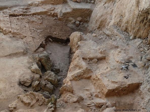 Excrementos humanos prehistóricos encontrados y analizados en España 