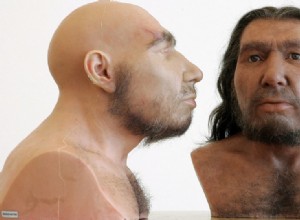 Neanderthals 