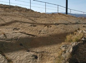 Paleontological site of Enciso in La Rioja 