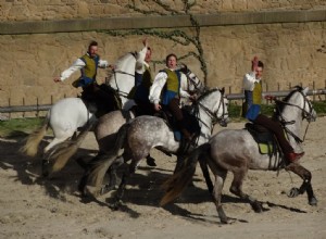 ¿Cuál es la historia del castillo Puy du Fou? 