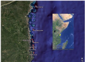 Arqueología del comercio swahili en el norte de Mozambique 