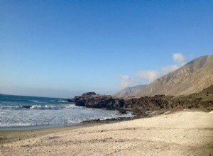 Of plants, cacti and algae. Archaeobotany on the coast of the Atacama desert 