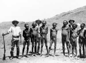 When five pounds were paid for the capture of an Aboriginal in Tasmania 