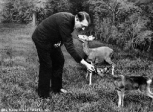 Animales en la Alemania nazi 