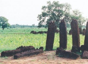 세계에서 가장 큰 거석 단지 집단인 세네감비아 스톤 서클(Senegambia Stone Circles) 