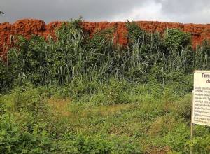 The walls of Benin, the longest structure built by man, with 16,000 kilometers in length 