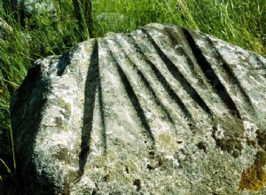 The Mysterious Grooved Stones of Gotland 