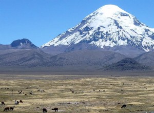 The Sajama Lines, the Bolivian Nazca 