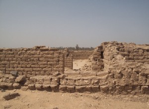 Evidence that the ancient Egyptian city of Amarna may have been built with child labor 