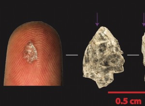 A new study proposes that tool miniaturization was what set us apart from other primates more than 2 million years ago. 