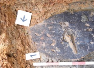 They analyze a unique shield in Europe, made with sheets of bark in the Iron Age 