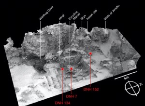 Oldest Known Homo Erectus Remains Found 