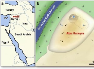 El impacto de un cometa fragmentado podría haber destruido el asentamiento de Abu Hureyra, el lugar donde los humanos se convirtieron en agricultores 