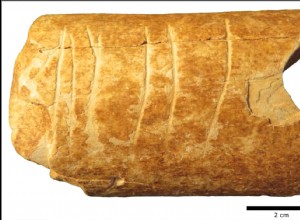 They find a fragment of bone inscribed with the oldest symbols in history 